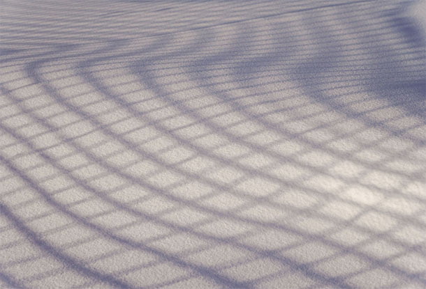 photo: shadow of a net (iStockphoto)
