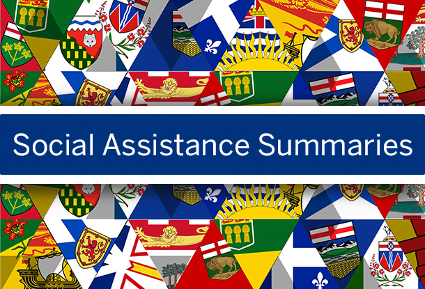 Social Assistance Summaries